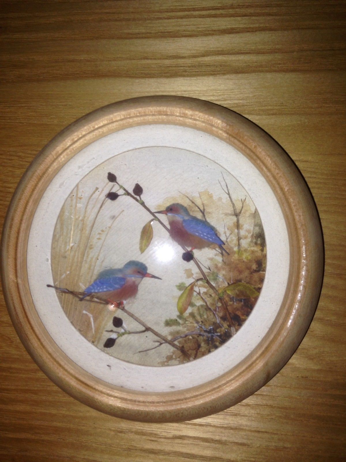 Kingfishers (Version 5) (5-inch)